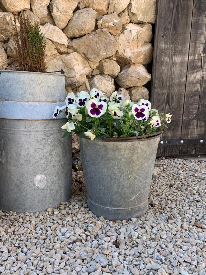 ムリエス La Bergerie De Cigalon Bed & Breakfast エクステリア 写真
